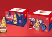 天博app体育-河南队新赛季开门红，晋级态势喜人的简单介绍
