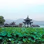 杭州绿园新晋冠军：英雄本色，掀起风暴