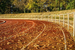 星空体育官网-职业体育的商业化是否侵蚀竞技精神，体育商业化的定义  第2张